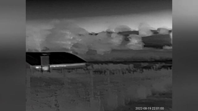 Xinfrared Infiray T2 Pro Android Plug In Thermal Spotter