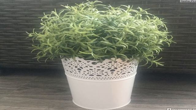 экочеловечки купить на алиэкспресс смотреть онлайн