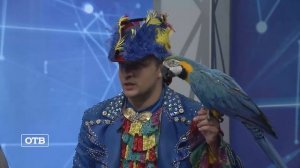 Шоу воды, огня и света