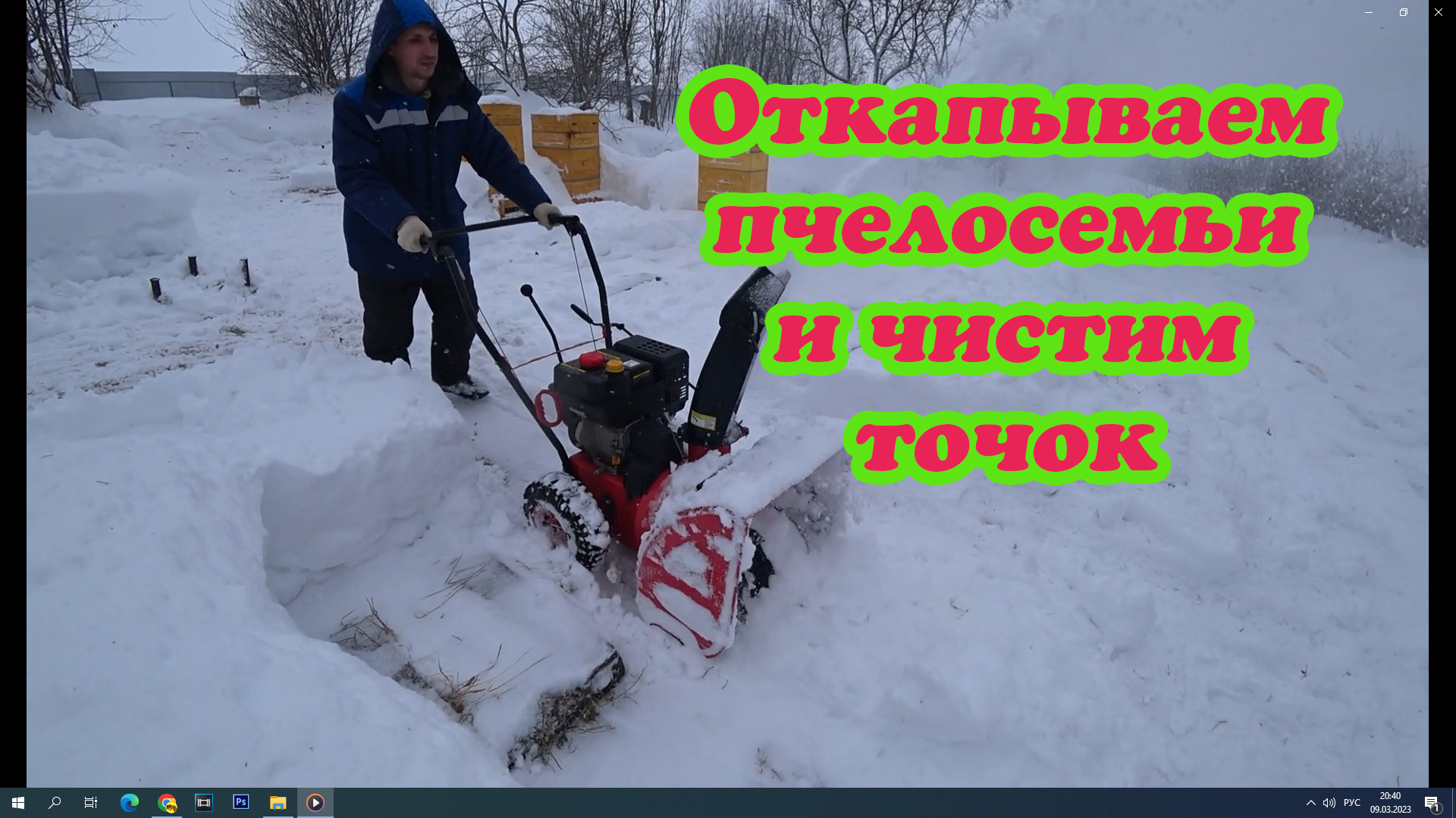 ГОТОВИМ ТОЧОК К ВЫСТАВКЕ ПЧЁЛ, ОТКАПЫВАЕМ УЛЬЯ С ПЧЁЛАМИ ИЗ СУГРОБОВ, ОБЛЁТ ПЧЁЛ. смотреть онлайн