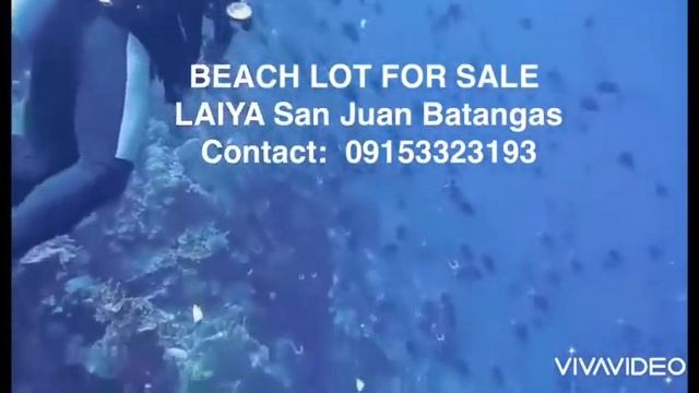 Beach Lot For Sale at Laiya San Juan Batangas смотреть онлайн