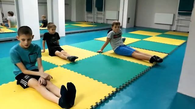 Прыжки в воду. Тренировка 26.12.2019 (1 часть, зал) смотреть онлайн
