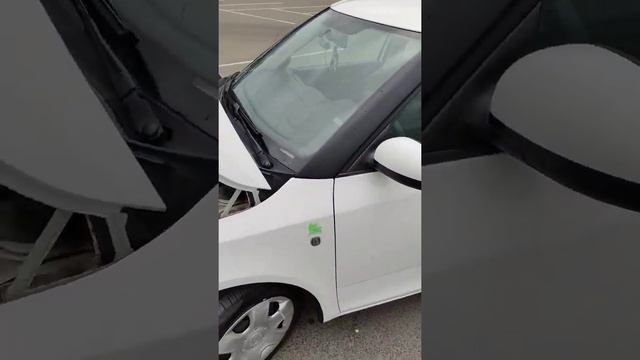 Skoda Fabia 2012 (1.2 TDI Greenline)