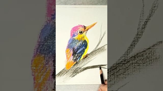Радужный зимородок - рисунок сухой пастелью. смотреть онлайн