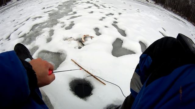 Ловля плотвы на мормышку в декабре. смотреть онлайн