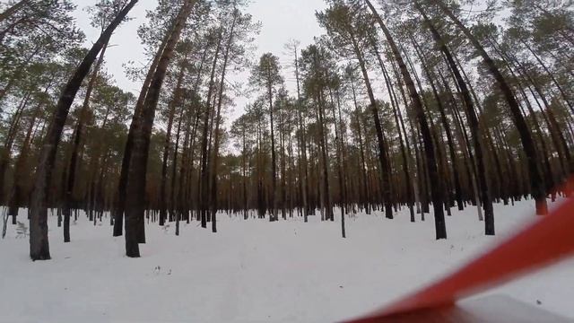 Один в тайге и надолго, полюбому смотреть онлайн