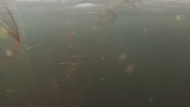 Несколько мгновений с зимней рыбалки смотреть онлайн