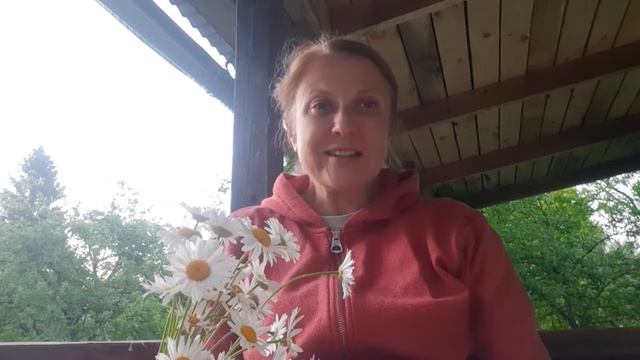 "Букет ромашек на столе..." Давид Симанович. исп. Лара Смирнова смотреть онлайн