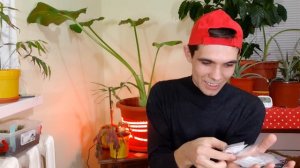 Попробую выращивать декабрист из семян