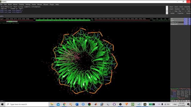 Pymol for beginners | Basic Tutorial Molecular Visualization of Proteins | Bioinformatics смотреть онлайн