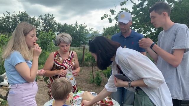 Дегустация клубники КСД смотреть онлайн