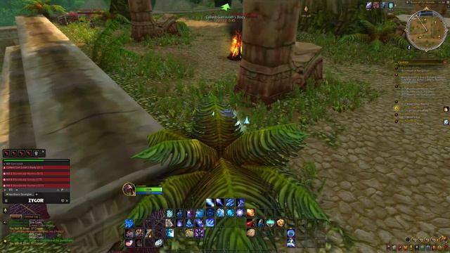 Let's Play - Everyquest - Northern Stranglethorn - Population Con Troll смотреть онлайн