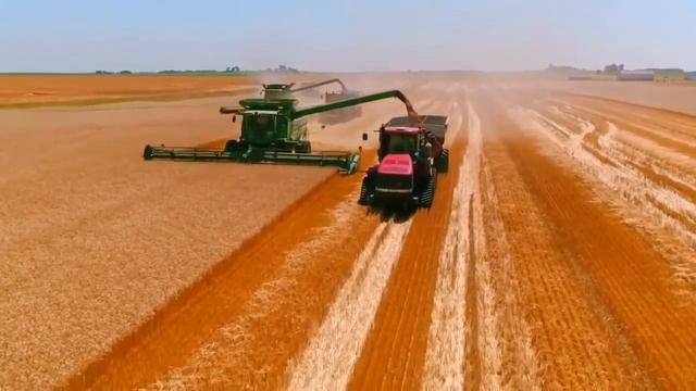 How is it possible to see the harvest of 24000 acres of wheat? - Like a haircut смотреть онлайн