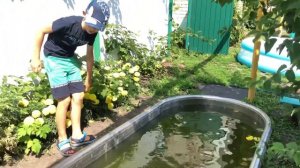 Кого я поймал сачком для бабочек?