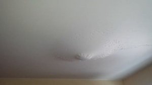 Просушка натяжного потолка после слива воды