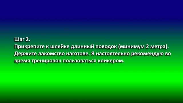 Как научить кошку ходить на поводке? смотреть онлайн