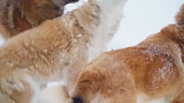 ОДИН ДЕНЬ ИЗ…. смотреть онлайн