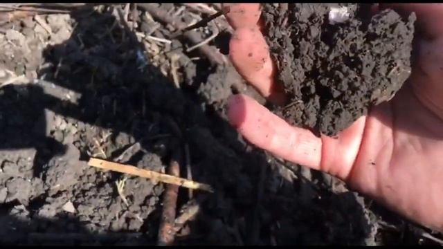 Как сделать рыхлую землю. Все в дело! смотреть онлайн