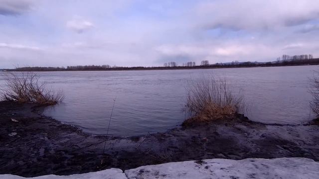 Налим пойман! Летний сезон 2021 открыт. смотреть онлайн