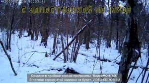 С одностволкой на зайца