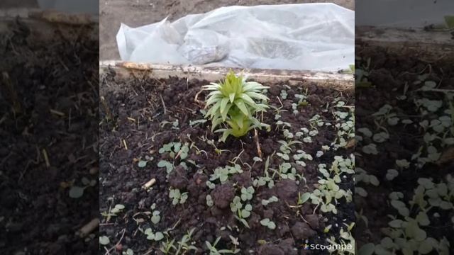 Кто такая модель??? (Слайд шоу) читать описание. смотреть онлайн