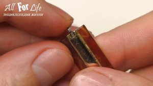 Ремонт очков / Замена флекса (пружинного механизма) в дужке очков своими руками