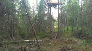 Строим лабаз на медведя. Запись с фотоловушки...