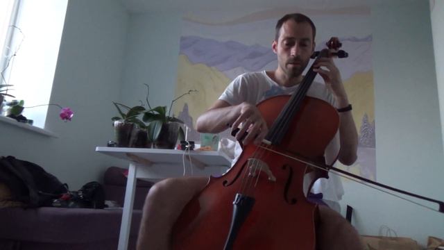 39 лет (смычок или дрель) #cello
