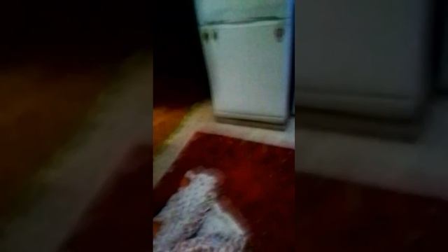 2часде смотреть онлайн