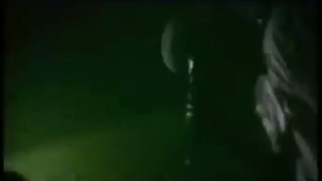 Mr fox - concierto смотреть онлайн