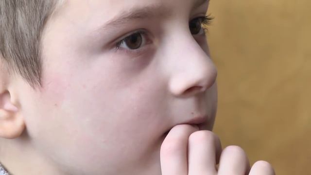 Пожарной безопасности учат школьников актеры Полесского драмтеатра смотреть онлайн