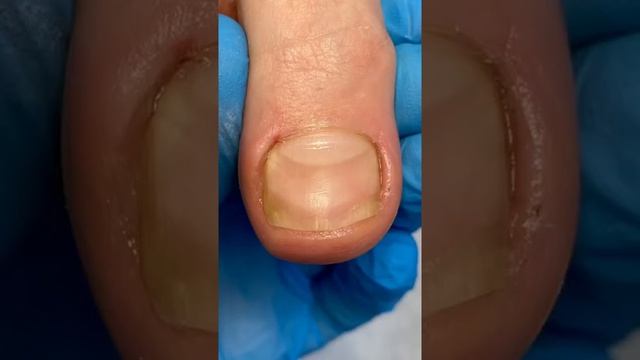 20 ноября 2021 г. смотреть онлайн