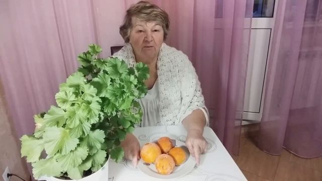 Хурма: польза и вред. Можно ли есть хурму при сахарном диабете? смотреть онлайн