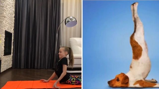 Йога челлендж с животными? смотреть онлайн