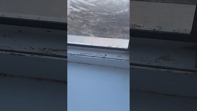 Лайфак по установке пластиковых окон от мастеров Темиртау. ???Не знаю смеяться или плакать. смотреть онлайн