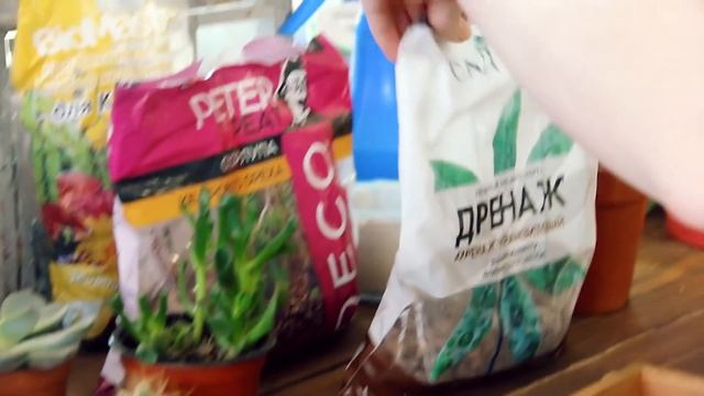 ПОКУПКИ Для Сада и Декора / DIY Ящик с Суккулентами / Aliexpress Banggood смотреть онлайн