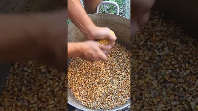 Быстрый способ очистить кукурузу смотреть онлайн