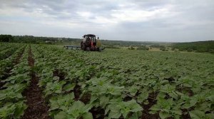 Трактор в поле дыр-дыр-дыр