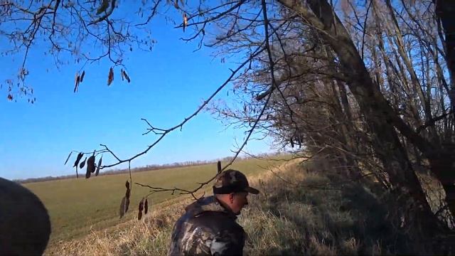 Охота на зайца !!!!! понеслась смотреть онлайн