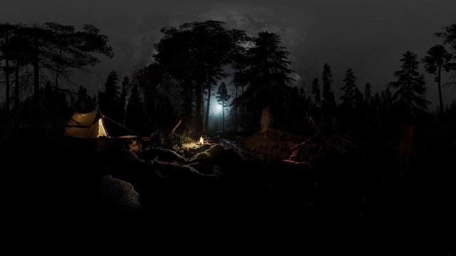 Forest Sounds | Wind | Night | 360 Video | Relax | Sleeping | VR смотреть онлайн