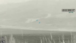 Guide TD631 LRF  работа дальномера (день небольшой снег)