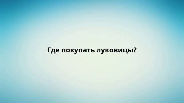 Где покупать луковицы? смотреть онлайн