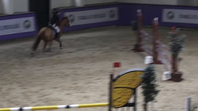 Valeriia Evstafeva-Harras-15.12.2019 İASK Yıl Sonu Kupası 110 cm Yıldız Biniciler Birincisi смотреть онлайн