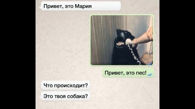 Как ответить на СМС, присланные по ошибке смотреть онлайн