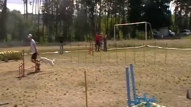 Снукер. Овсиенко Виктория и Соня смотреть онлайн