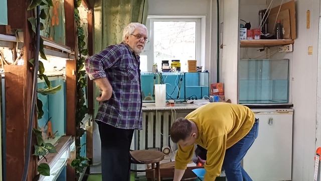 Рутина продолжается. Сегодня сомики. смотреть онлайн
