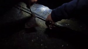 ?НА БЕЗРЫБЬЕ И Краб Рыба. Ночная Рыбалка, На Черном Море в Крыму.