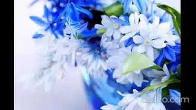 Доставка цветов. САНКТ - ПЕТЕРБУРГ. Не дорого.Интернет- магазин СЕМИЦВЕТИК. смотреть онлайн