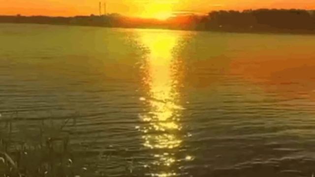 КРЕСТ СУПРУЖЕСКОЙ ЖИЗНИ..ЛУЧШЕ ЖИТЬ СО ЛЬВОМ И ДРАКОНОМ, НЕЖЕЛИ ЖИТЬ СО ЗЛОЮ ЖЕНОЮ..ч.4 смотреть онлайн