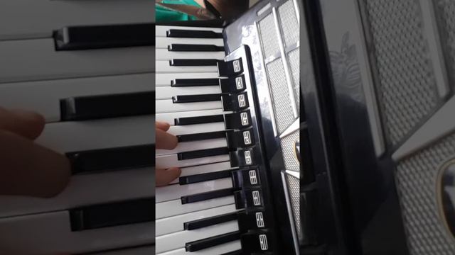 Ty Tego Nie Wiesz ( Kocham Cię ) Akordeon Weltmeister Amigo 96